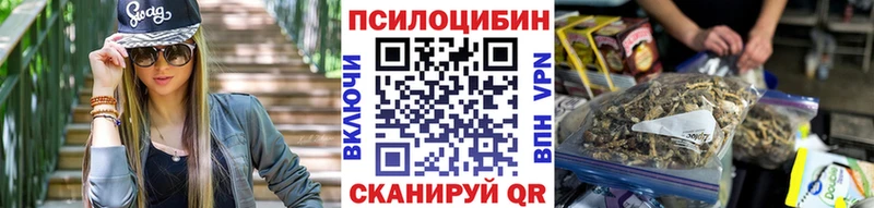 Псилоцибиновые грибы Psilocybine cubensis  Сясьстрой 